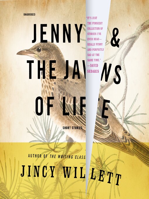 Title details for Jenny and the Jaws of Life by Jincy Willett - Available